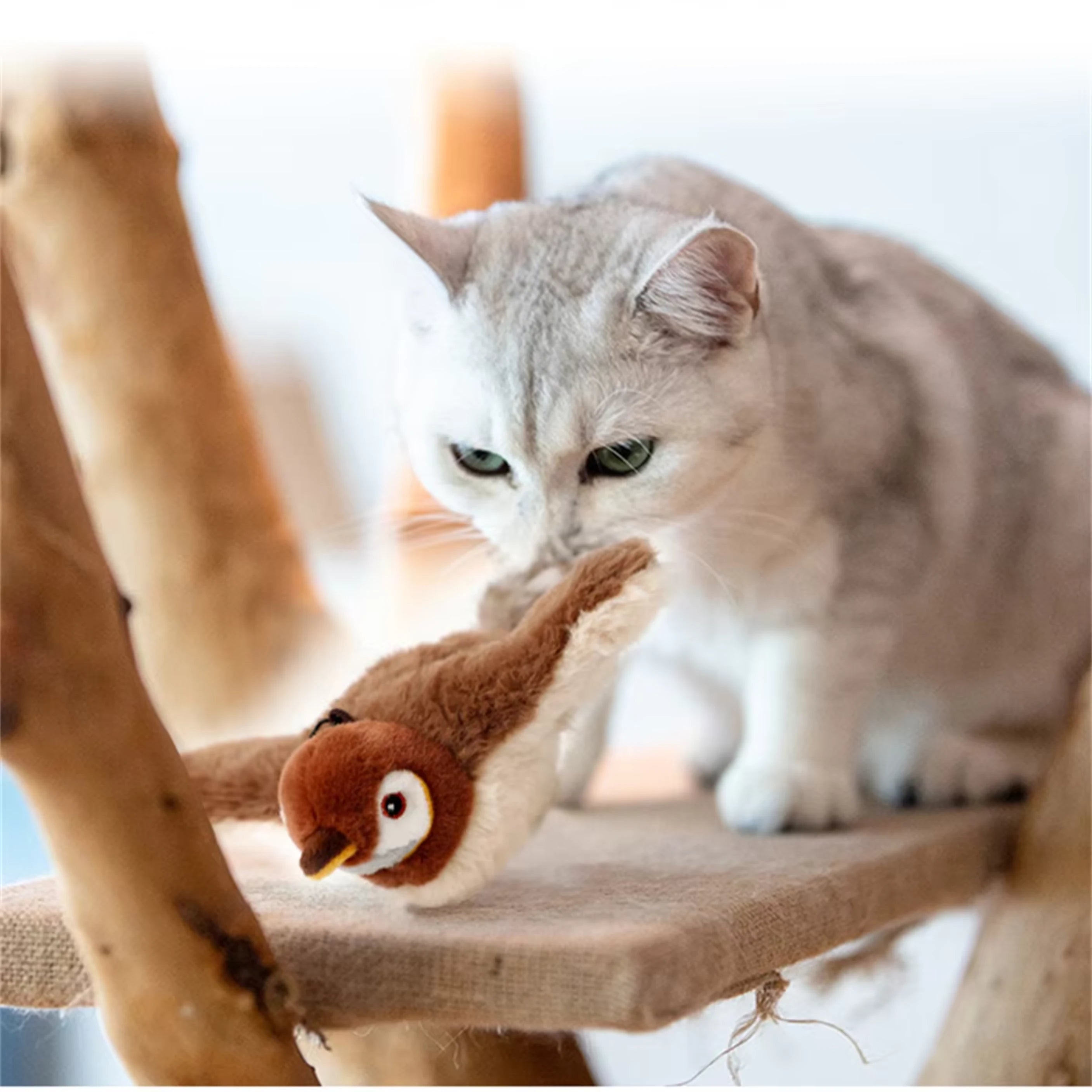 FlutterPaws – Keep your cat active, happy, and mesmerized!