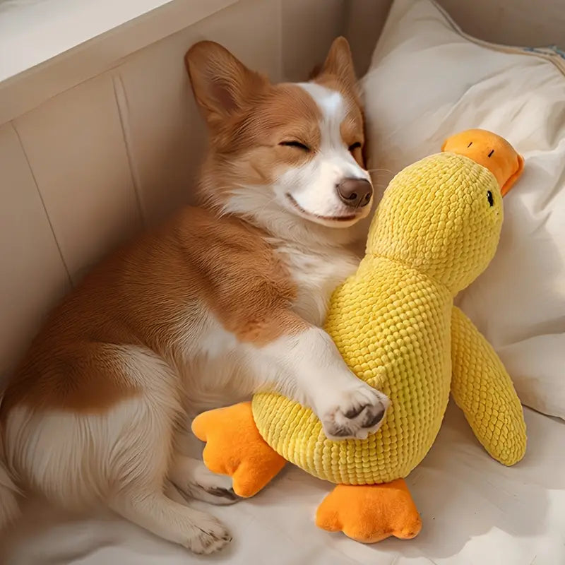 Squeaky Plush Duck Toy for Dogs | Soft & Durable Chew Toy