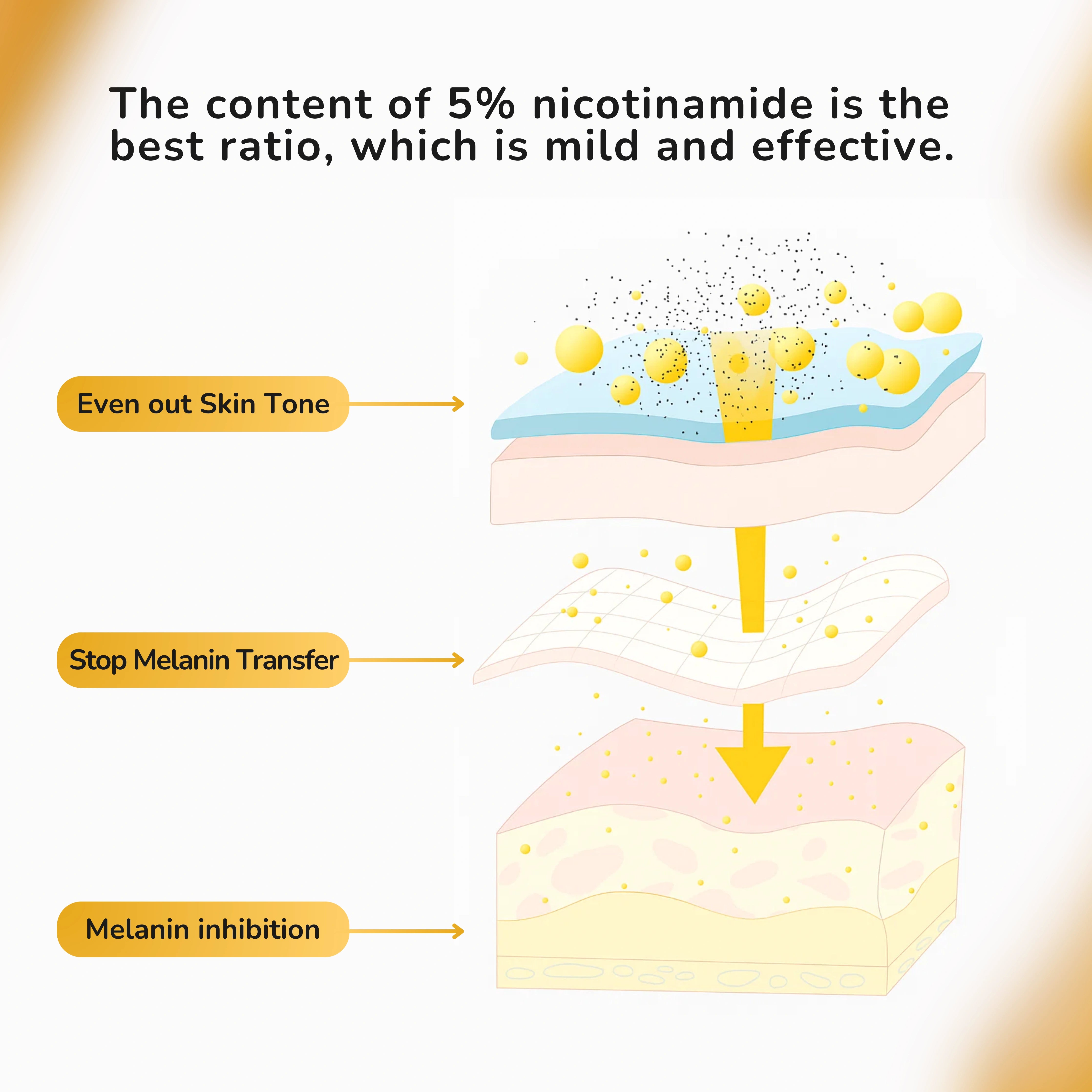 Advanced Skin Renewal Ampoules — 28-Day Correcting & Age-Defying Program