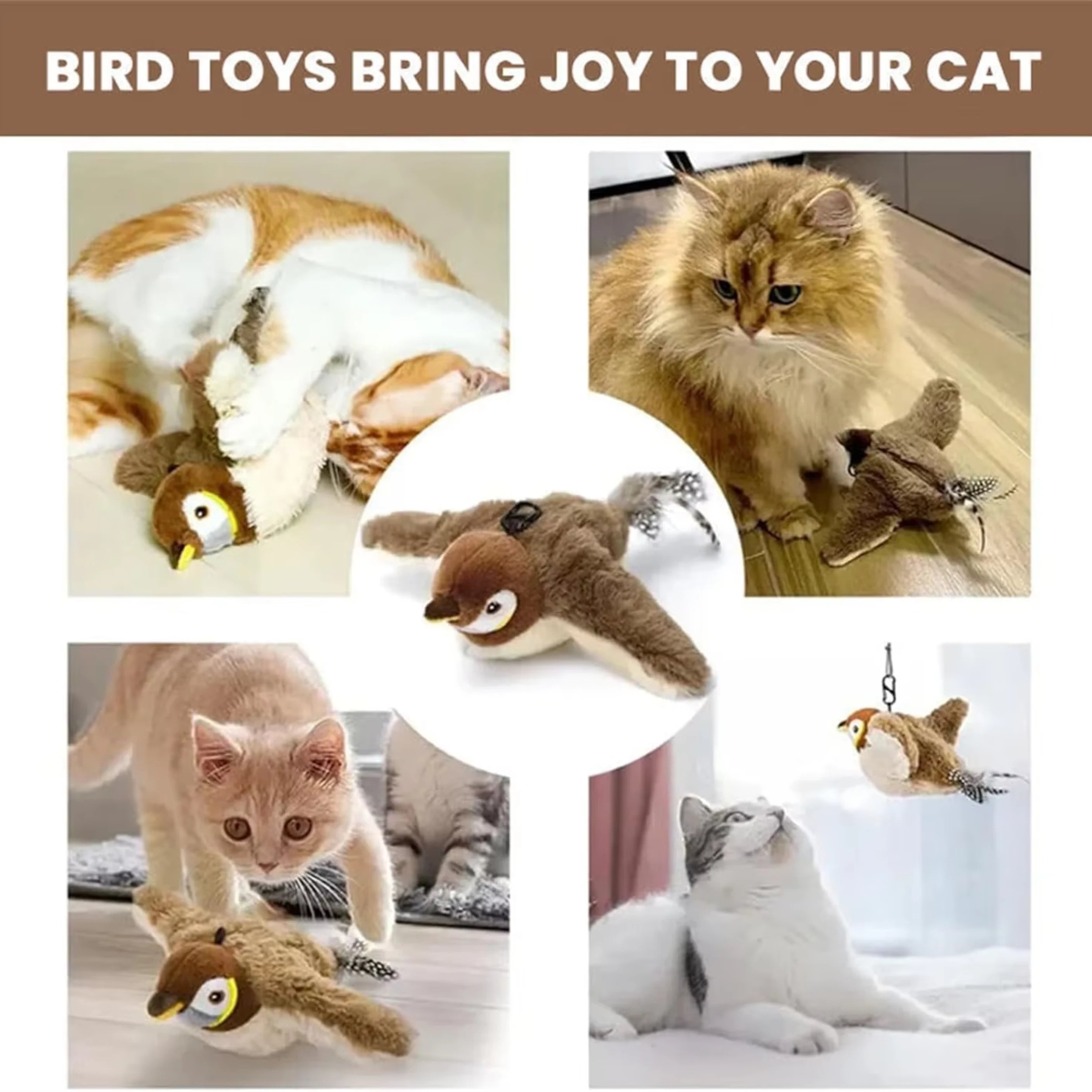 FlutterPaws – Keep your cat active, happy, and mesmerized!